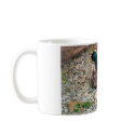 Ducks Mug