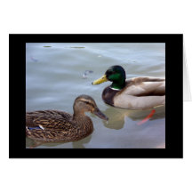 Ducks on a Pond Card