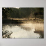 Ducks on a pond print