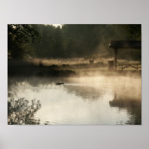 Ducks on a pond print