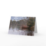 Ducks On Empire Lake cards