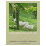 Ducks on Green Grass Flyer