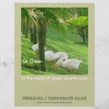 Ducks on Green Grass Flyer