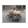 Ducks on motorbike-Vietnam Postcard