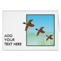 ducks on pond cards