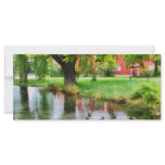 Ducks on Pond rack cards