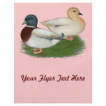 Ducks:  Pastel Calls flyers