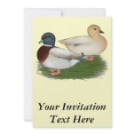Ducks:  Pastel Calls invitations