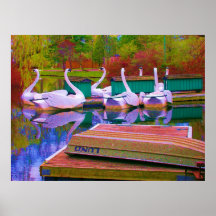 Ducks Play - Toronto Centre Island Kids Park Print