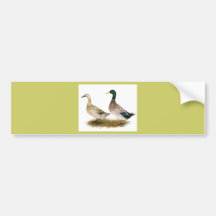 Ducks:  Silver Welsh Harlequin Bumper Sticker