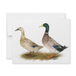Ducks:  Silver Welsh Harlequin invitations