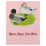 Ducks:  Snowy Calls flyers