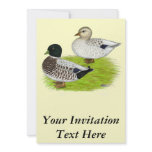 Ducks:  Snowy Calls invitations