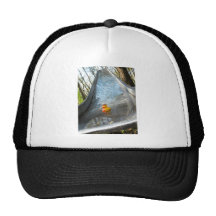 Ducky Slide Hat