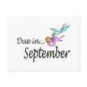 Due In September (Baby/Stork) postcards