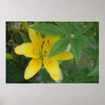 Duet in Yellow and Green Poster