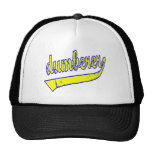 Dumberer Mesh Hats