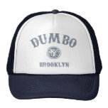 Dumbo Hat