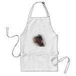 Dumbo rat wanna play? aprons