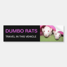 Dumbo rats bumper sticker