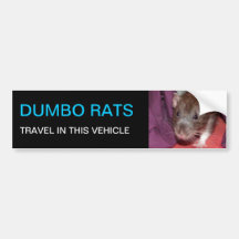 Dumbo rats bumper sticker