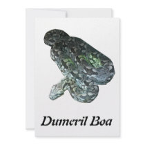 Dumeril Invitations