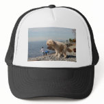 dump hats