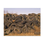Dumped old tyres postcards