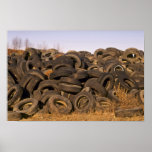 Dumped old tyres posters