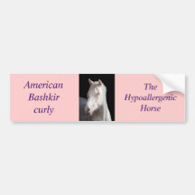 Dunalino American Bashkir curly filly Bumper Sticker