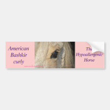 Dunalino American Bashkir curly filly Bumper Sticker