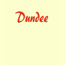Dundee T Shirt