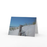 Dune Fence Cards