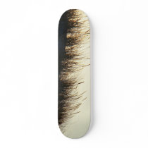 Dunes at Sundown IBSP NJ Skateboard