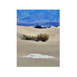 Dunes Desert photo sculptures