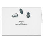 Dung Beetles cards