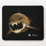 Dunkleosteus Mousepad