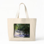 Dunn's River Falls, bags