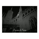 Duomo di Siena Postcard