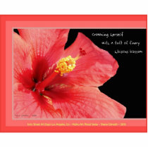 Durable Acrylic Hibiscus Blossom haiku art magnet Acrylic Cut Out