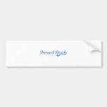 Durand Beach New York Classic Design Bumper Sticker