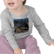 Durango and Silverton Railroad, No. 481, Bear Cree T Shirt