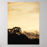 Dusk Forest 2 Print