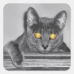 Dusky Gold Stickers