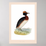 DUSKY GREBE PRINT