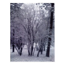 Dusting Post Card