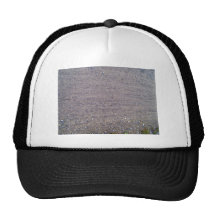 Dusty and Rutted Dirt Sand Road Mesh Hat