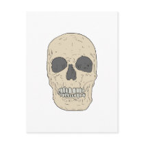 dusty skull post cards