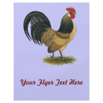 Dutch Bantam:  Blue Quail Rooster