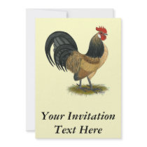 Dutch Bantam:  Blue Quail Rooster